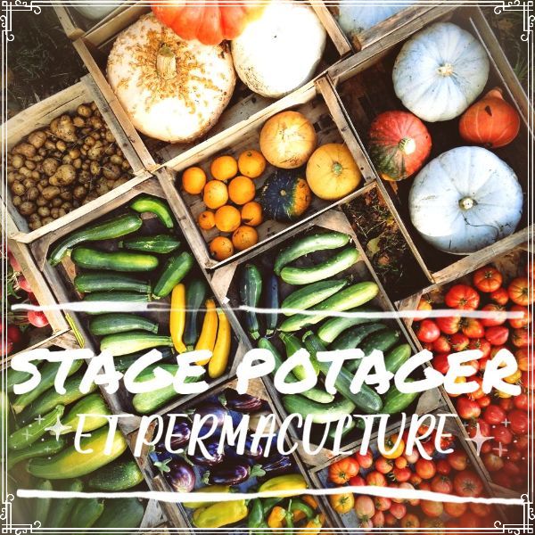 Stage « Potager et permaculture – vers une abondance de légumes toute l’année »à la ferme de Keruzerh.